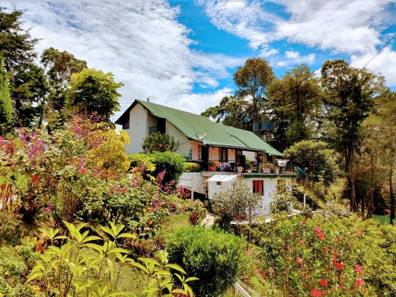 Las Cabanas Castillos Del Lago Villa Guatapé Dış mekan fotoğraf